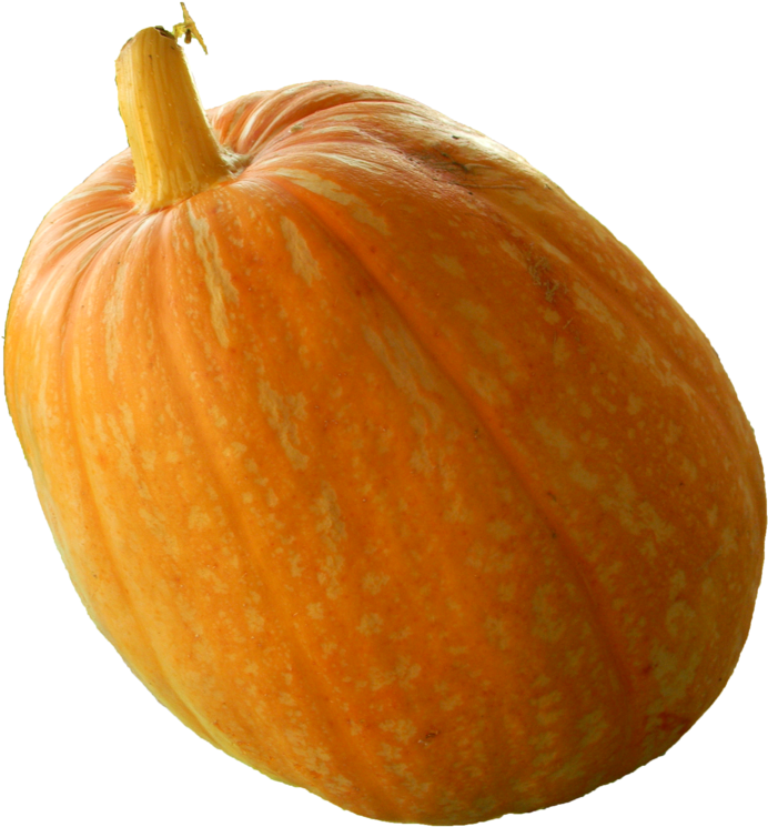 Real Pumpkin Png Transparent Image - Calabaza Real Png (1024x768), Png Download