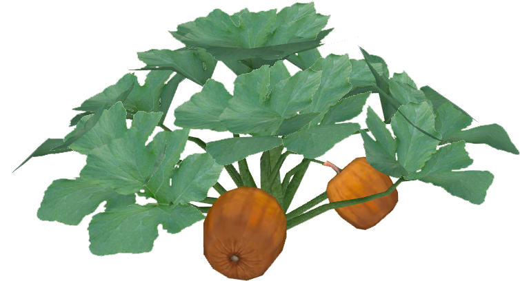 Pumpkin - Bush Tomato (753x753), Png Download