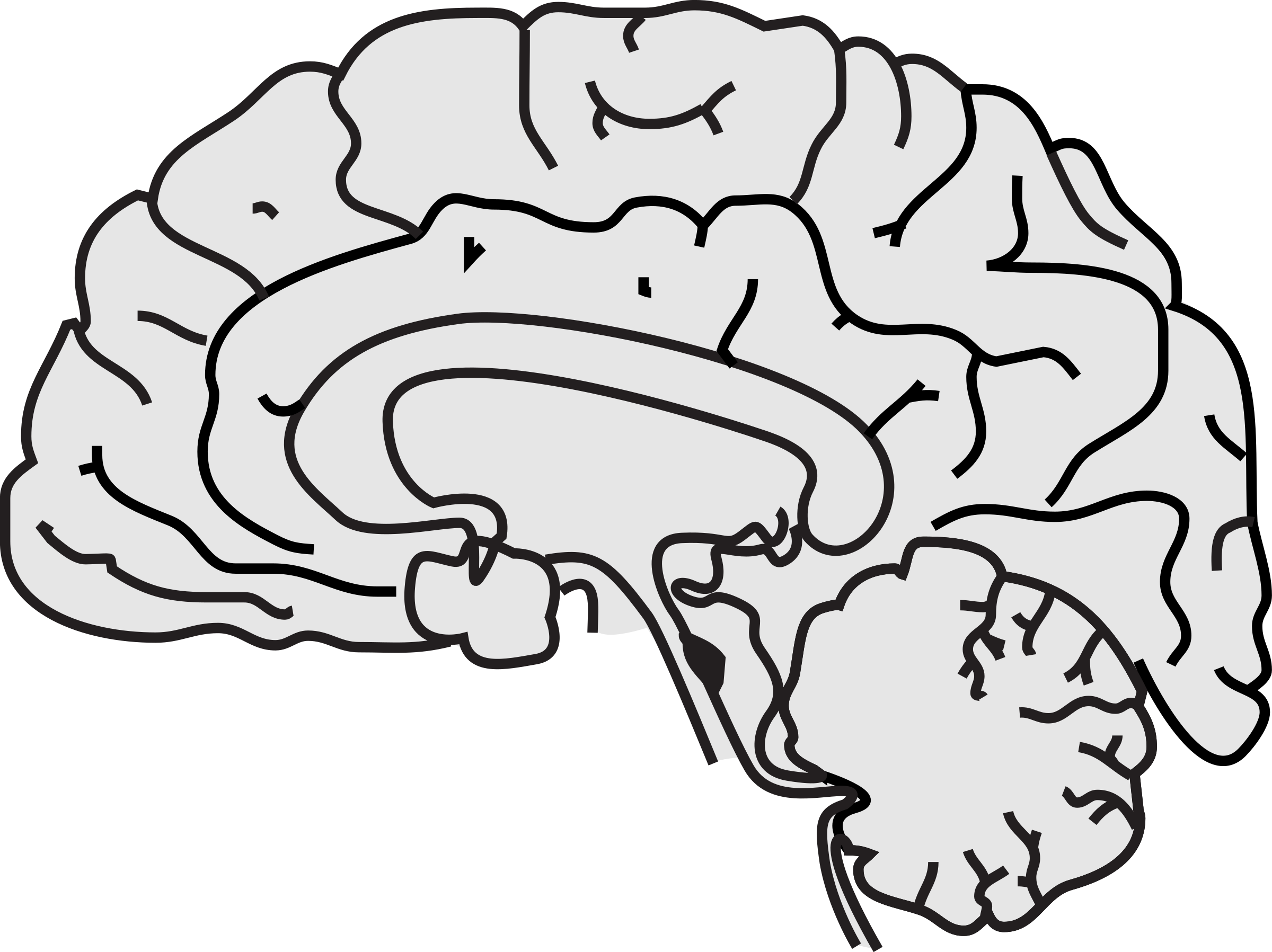 Clipart - Brain Simple Clipart (2400x1797), Png Download