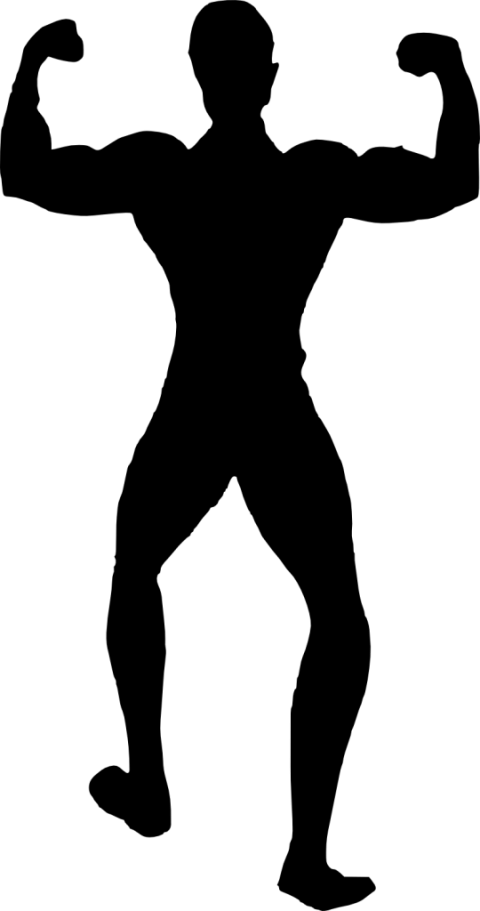 Free Png Muscle Man Bodybuilder Silhouette Png Images - Female Muscle Silhouette (480x911), Png Download