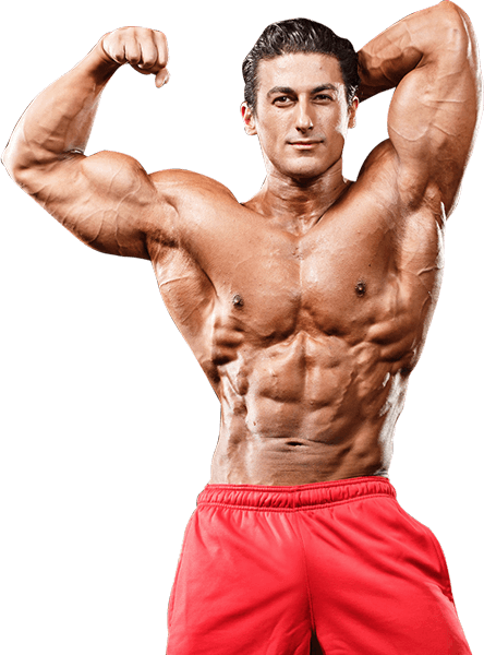 Bodybuilding Png - Body Builder Images Png (444x600), Png Download