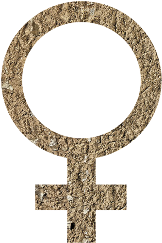 Sign,gender - Gender Population In World (500x600), Png Download