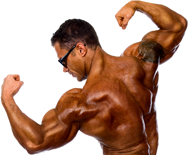 Counter-image - Barechested (413x310), Png Download