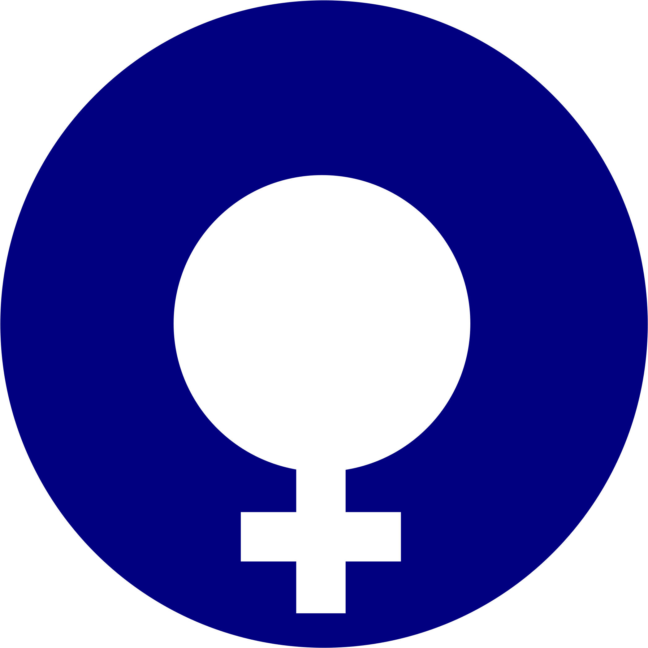 Big Image - Transparent Navy Circle (2400x2400), Png Download