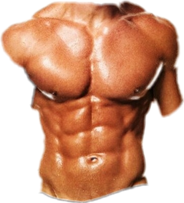 Picsart Six Pack Png Full Size Png Download Seekpng