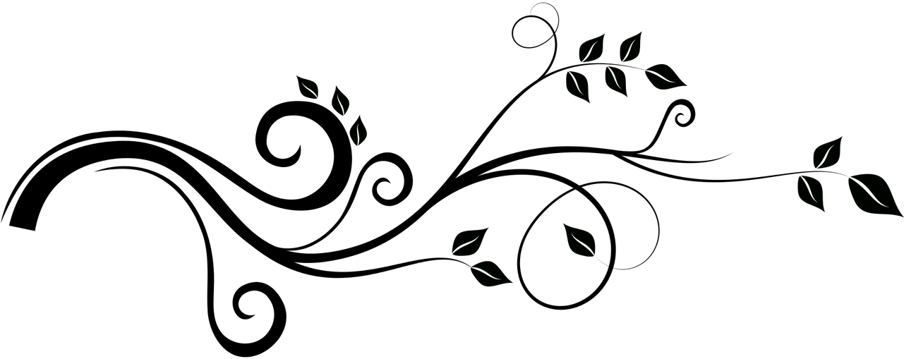 Adornos Vector Png - Found My Mister But I Need A Sister Journ (960x480), Png Download