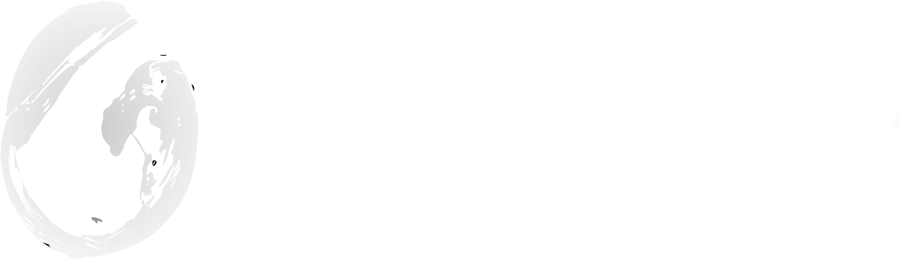 Ornate Concepts (3185x906), Png Download