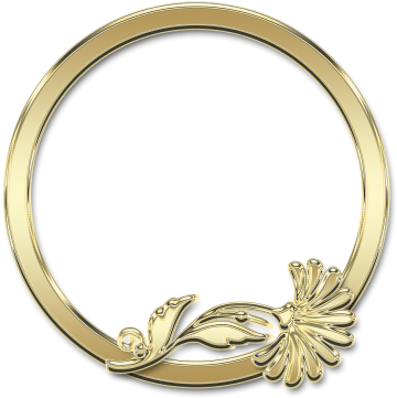 Frame,round - Transparent Golden Circle Hd Png (500x500), Png Download