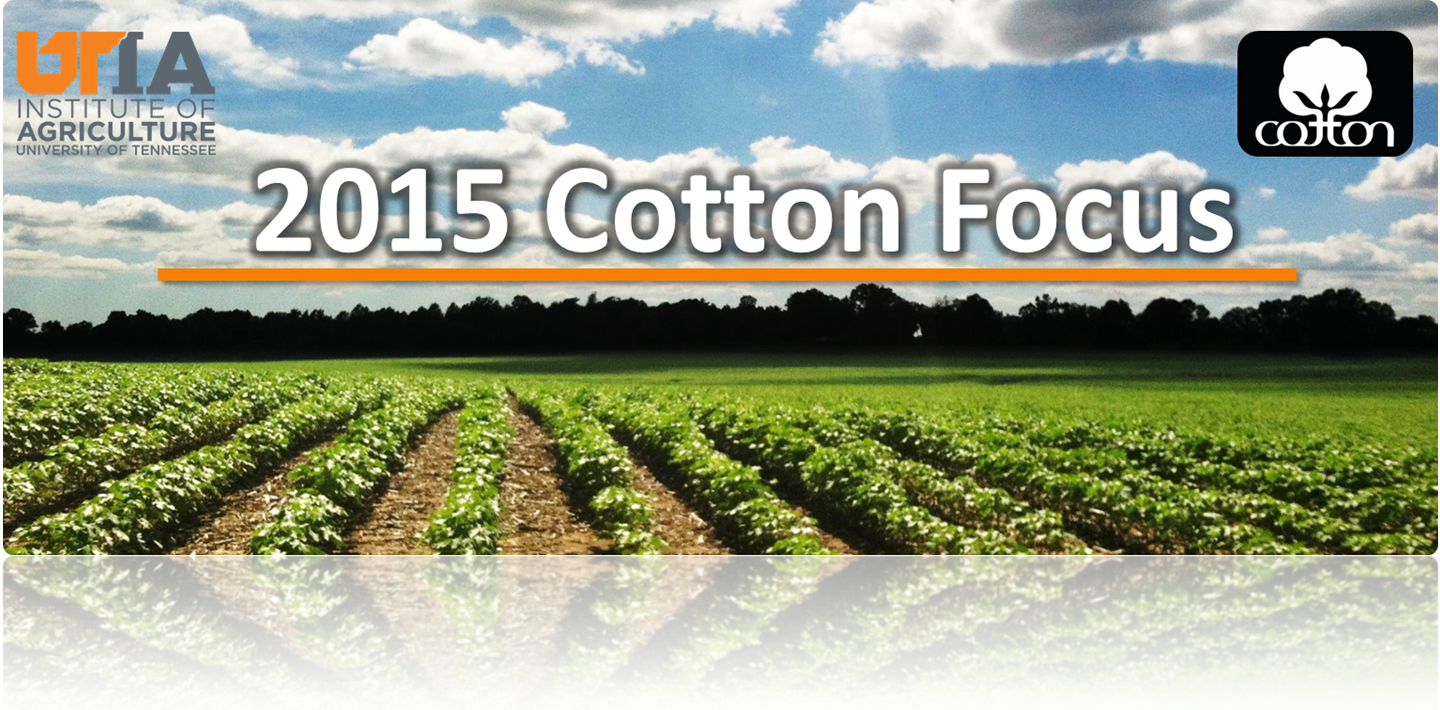 2015 Cotton Focus Presentations - Cotton Inc (1440x710), Png Download