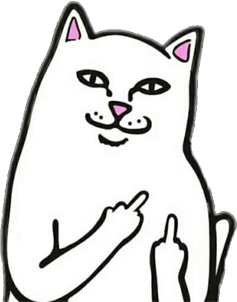 #cat #png #fu #freetoedit - Transparent Rip N Dip Cat (1024x1099), Png Download