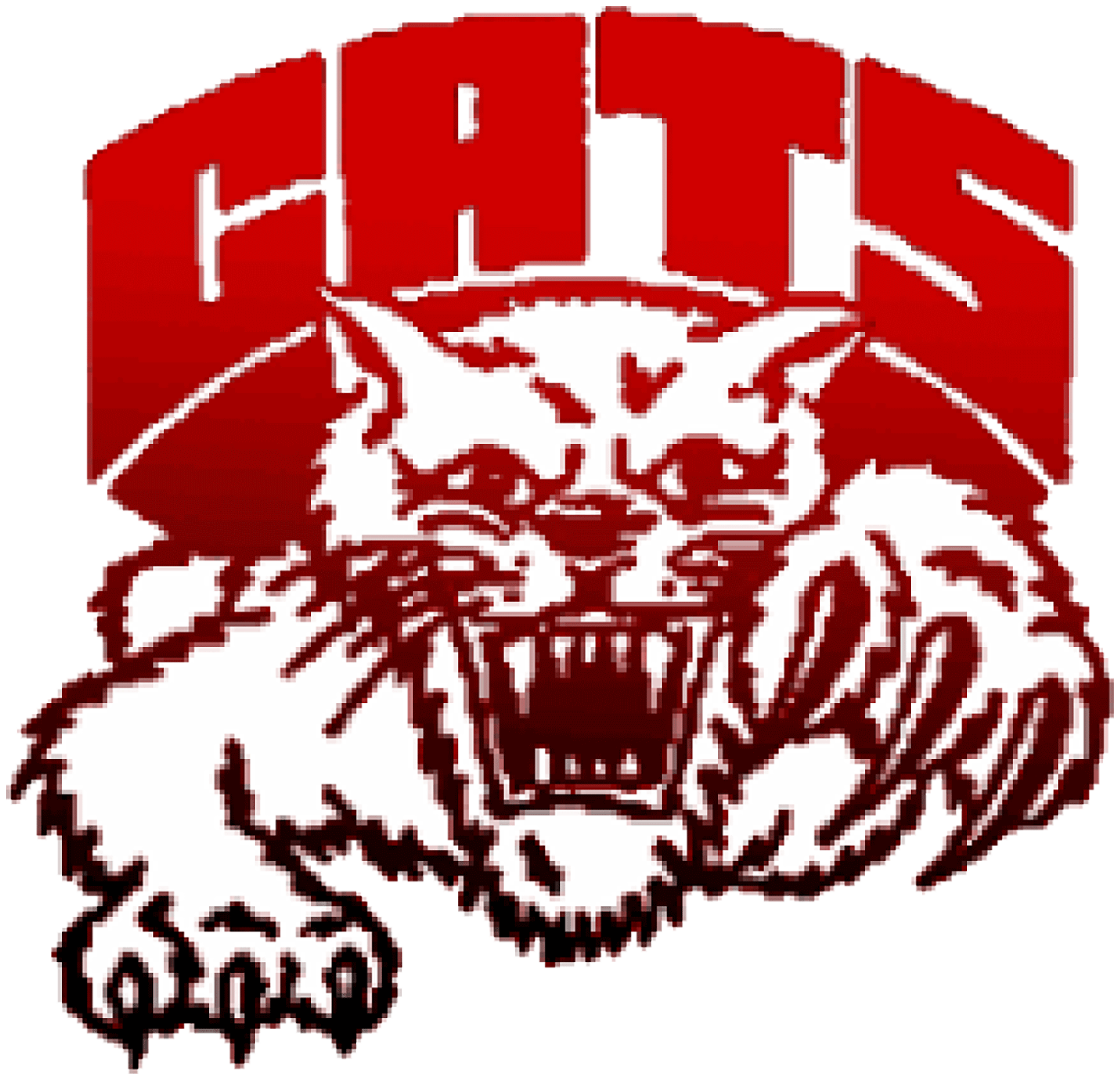 School Logo - Struthers Wildcats 2019 Logo (1600x1600), Png Download
