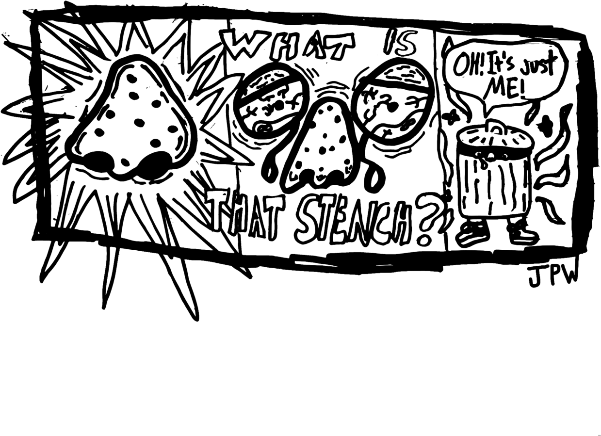 More You Might Like Pictures White Transparent Doodles - Illustration (1280x1220), Png Download