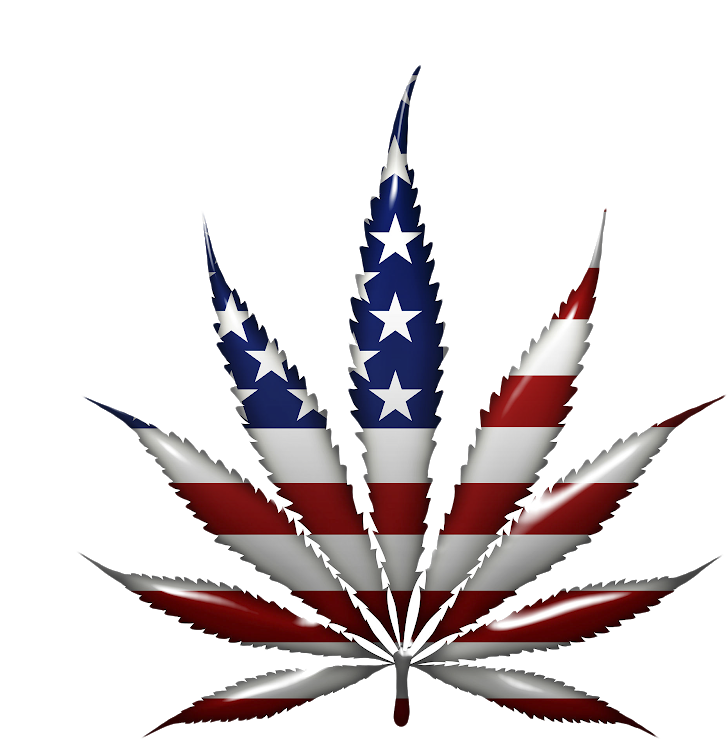 "local And State Authorities In Texas Spent An Estimated - American Flag Marijuana Leaf (800x800), Png Download