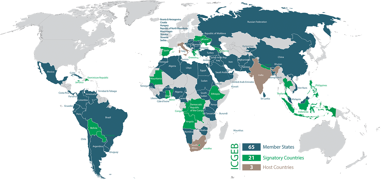 2018 Map - Holy See And The State Of Palestine (1500x728), Png Download