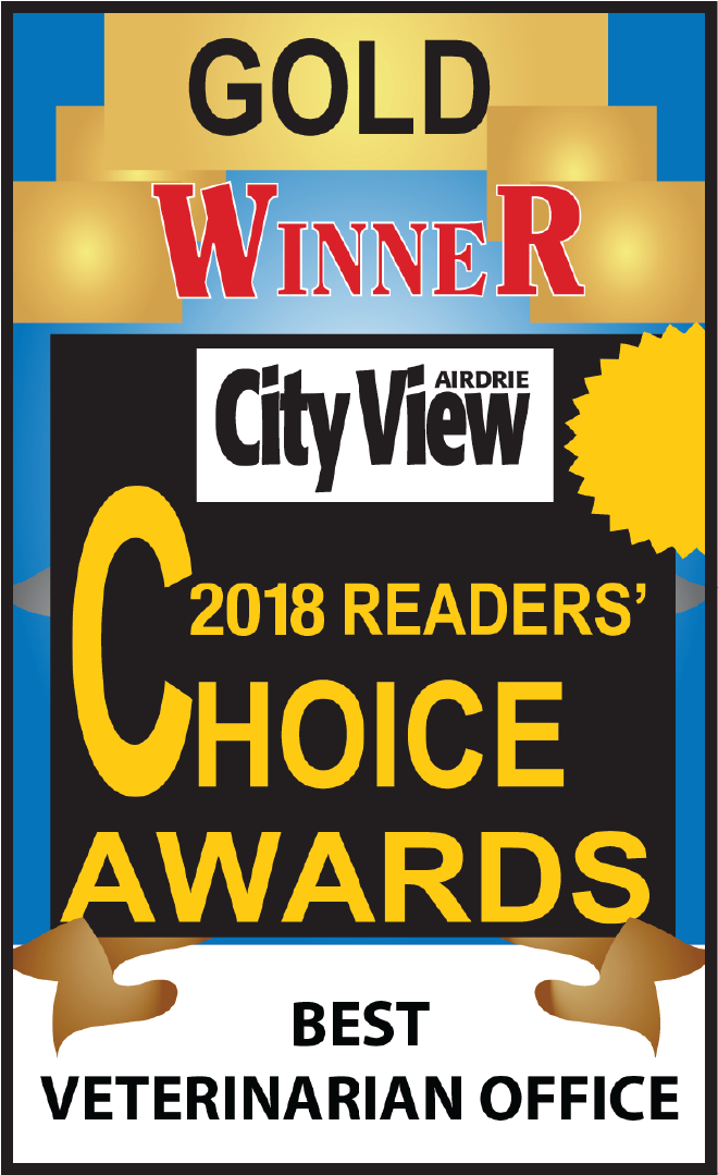 Feel Free To Drop Our Clinic To Meet Our Friendly Staff - Poster (1240x1500), Png Download