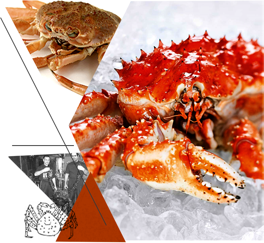 It's A Great Alternative To The Real Crab - Arctic Crab (1000x854), Png Download