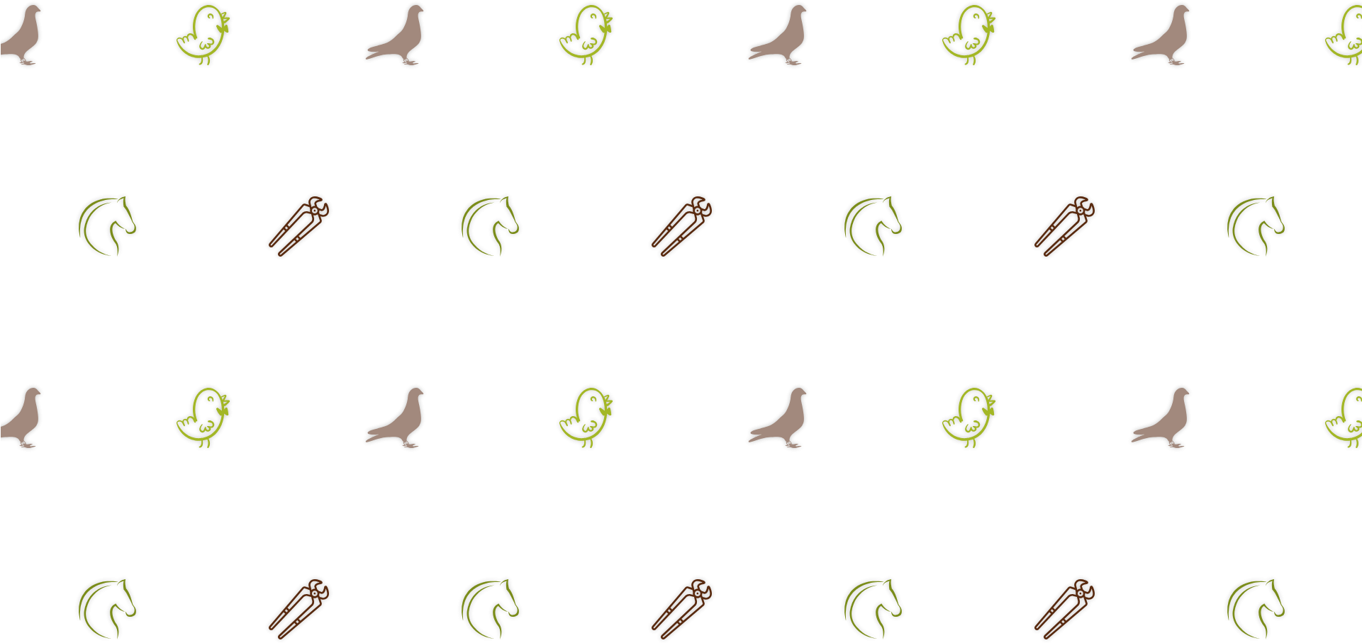 Hd Pattern Design - Marine Invertebrates (1920x1080), Png Download