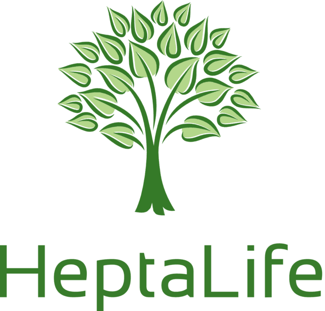Heptalife - L Arbre De Compétences (640x612), Png Download