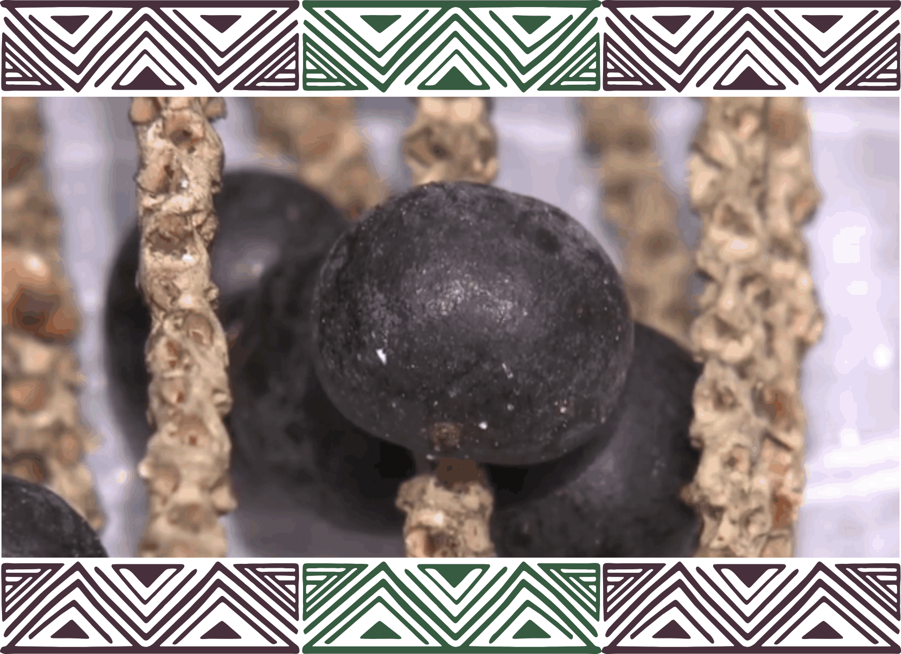 Serve Também Como Orientação Para A Escolha Da Polpa - Poster (1799x1305), Png Download