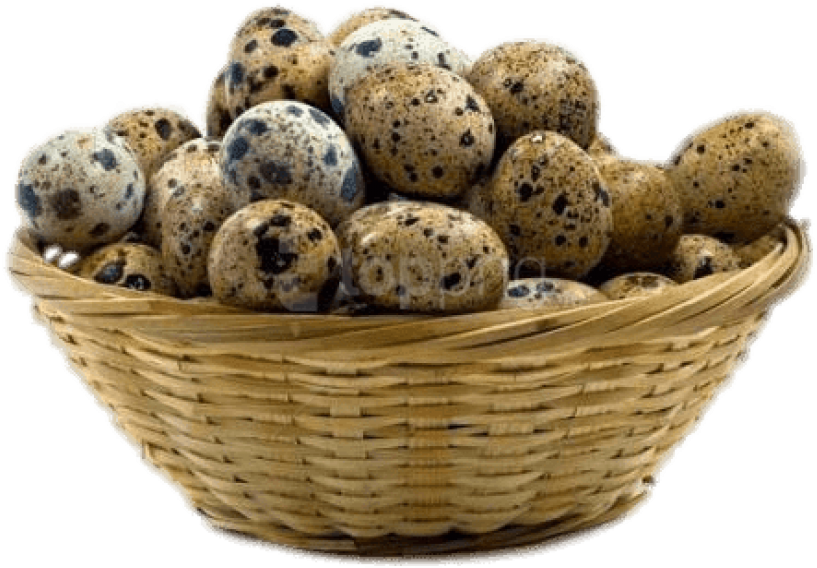 Free Png Download Basket Of Quail Eggs Png Images Background - Quail Eggs (850x609), Png Download