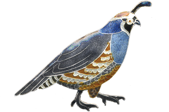 0122pin - Quail (900x900), Png Download