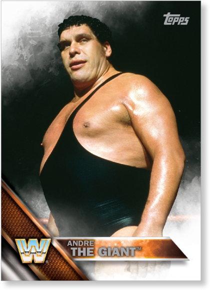 2016 Topps Wwe Andre The Giant - Andre The Giant (700x700), Png Download