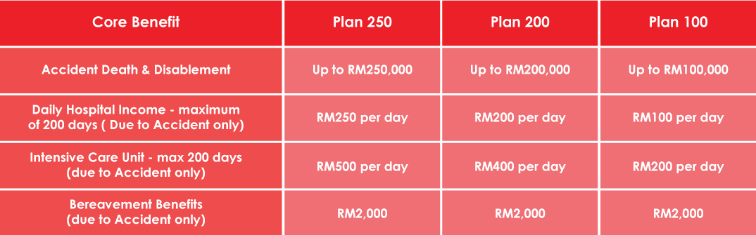 The Redone Accident Protection Plan Is Underwritten - Carmine (1074x335), Png Download