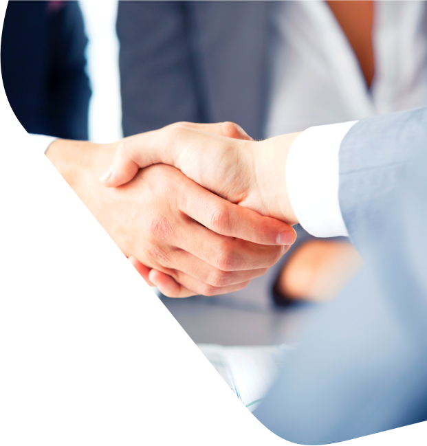 Leadership Team - Business Opportunity (621x649), Png Download