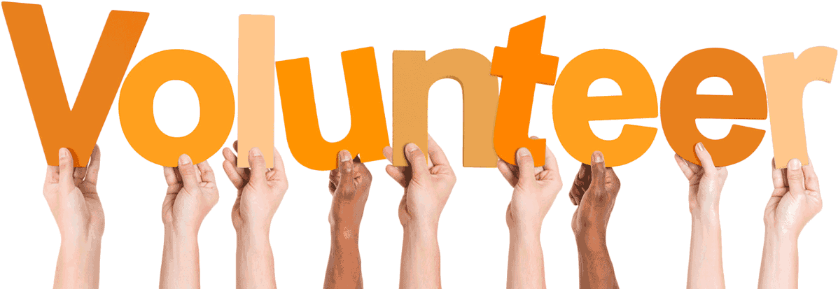 Please Consider Joining Our Vip - Poster (1200x422), Png Download