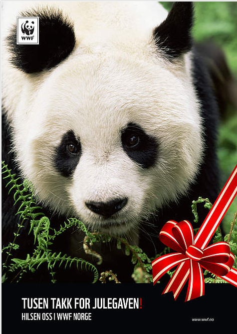 Wwf-julegave - Panda (1004x669), Png Download