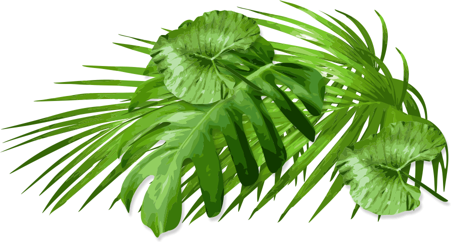 Follow The Fedora To Free Attractions Below (903x486), Png Download