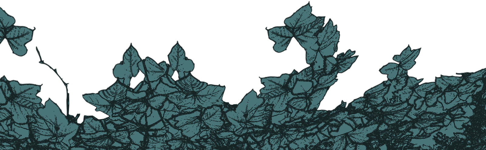 About/subscribe - Illustration (1600x494), Png Download