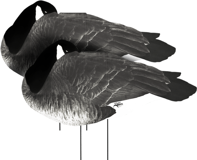 Flocked Head Silhouettes - Duck (720x617), Png Download