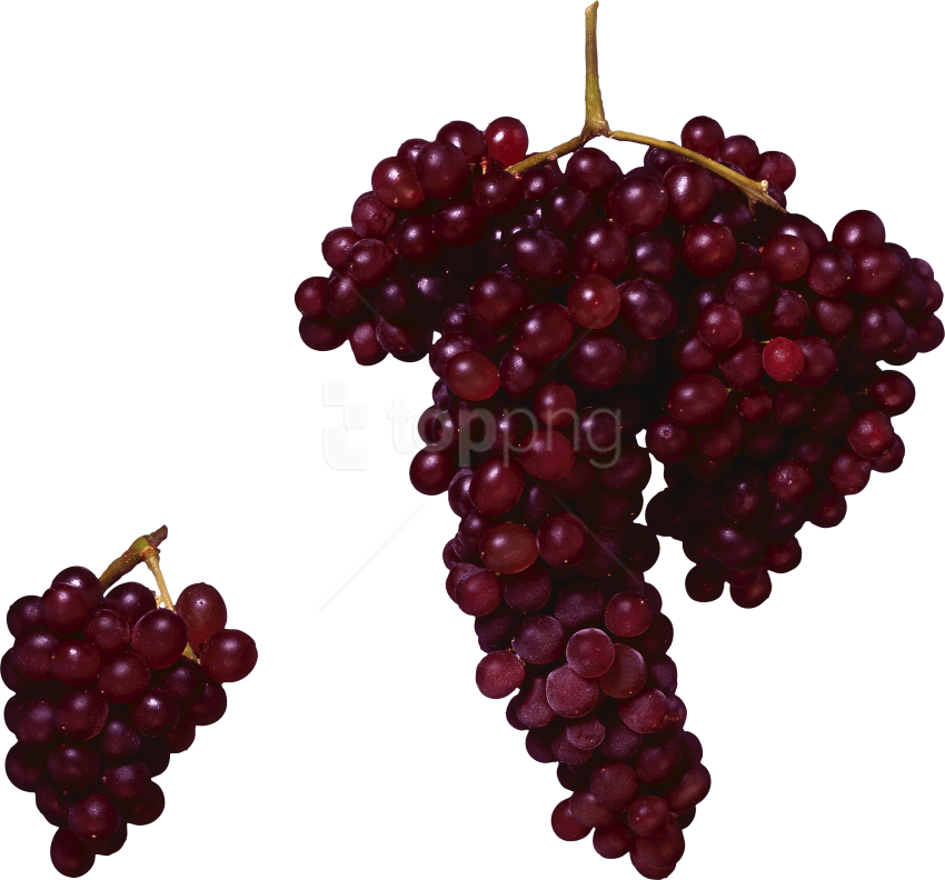 Free Png Download Red Grapes Png Images Background - Red Grapes Png (850x792), Png Download
