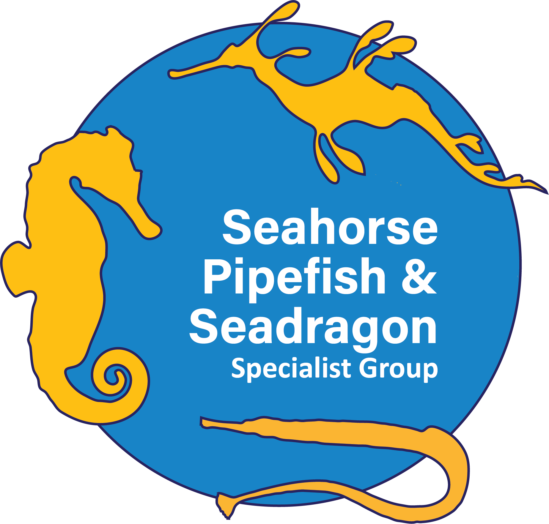 Iucn Seahorse, Pipefish & Seadragon Specialist Group - Brasserie Midi Station (1847x1764), Png Download
