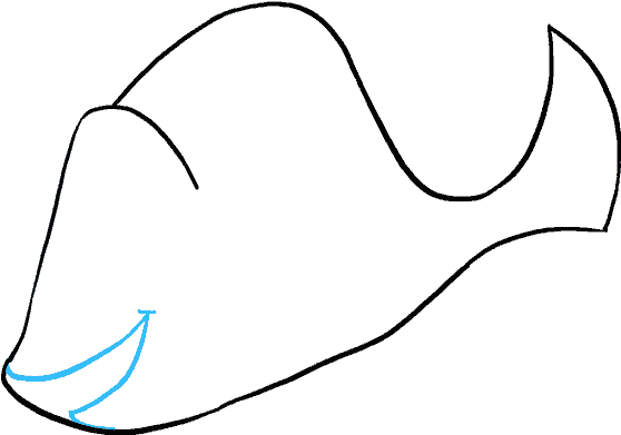 How To Draw Dory - Coral Reef Fish (678x600), Png Download