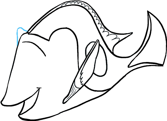 How To Draw Dory - Line Art (678x600), Png Download
