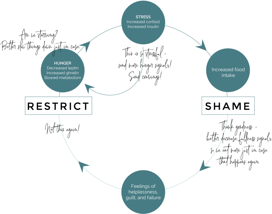 Restrict Shame Cycle-02 - Diagram (1000x803), Png Download
