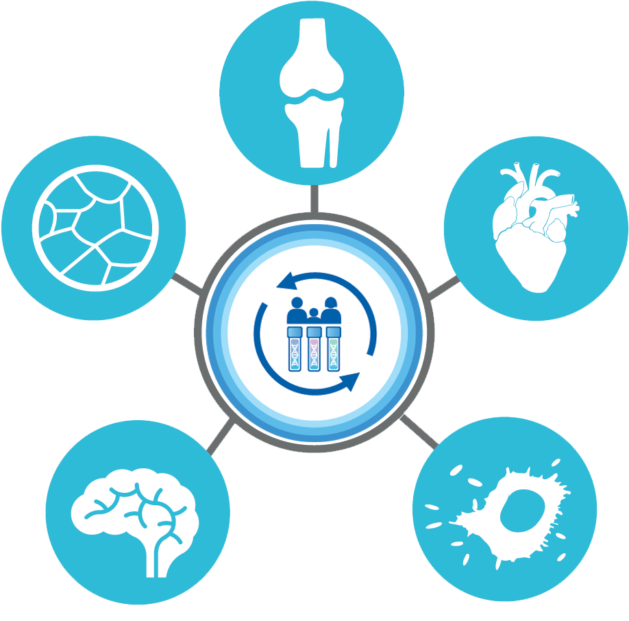 A Clinical Trial For An Aging Population - Circle (978x949), Png Download