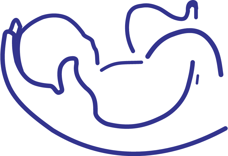 Baby Vector - Baby Logo Images Png (800x547), Png Download