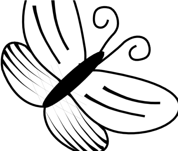 Butterfly Clipart Outline - Black And White Line Art Of Butterfly (640x480), Png Download