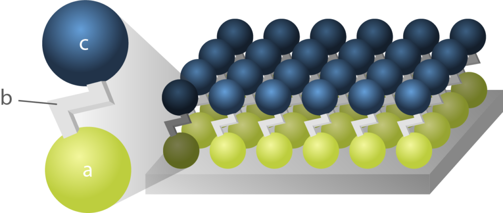 Schematic Representation Of A Self-assembled Monolayer - Sphere (1024x434), Png Download