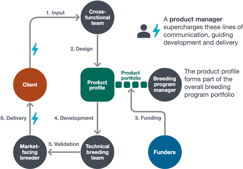 Through Workshops With Our Partners, Eib Has Developed - Diagram (800x542), Png Download