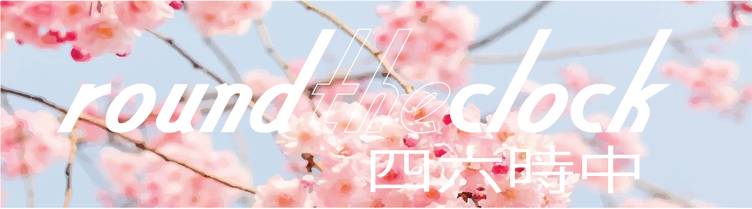 Cherry Blossom (3011x1034), Png Download