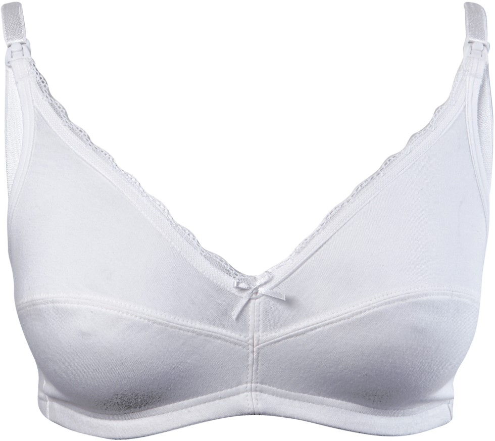 Previous - Brassiere (1024x1024), Png Download