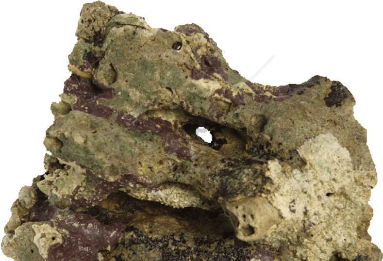 Free Png Download Rocas De Mar Png Images Background - Roca Viva (850x549), Png Download