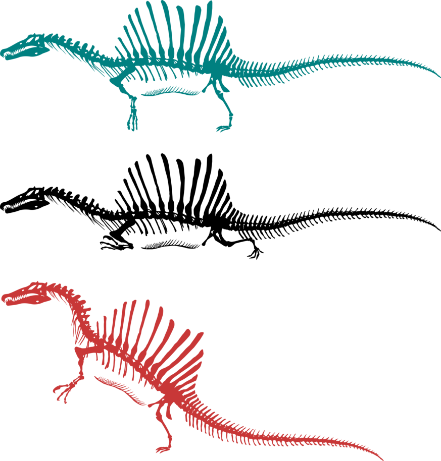 Another Major Controversy, Which Began In 2014 And - Most Accurate Spinosaurus (873x914), Png Download
