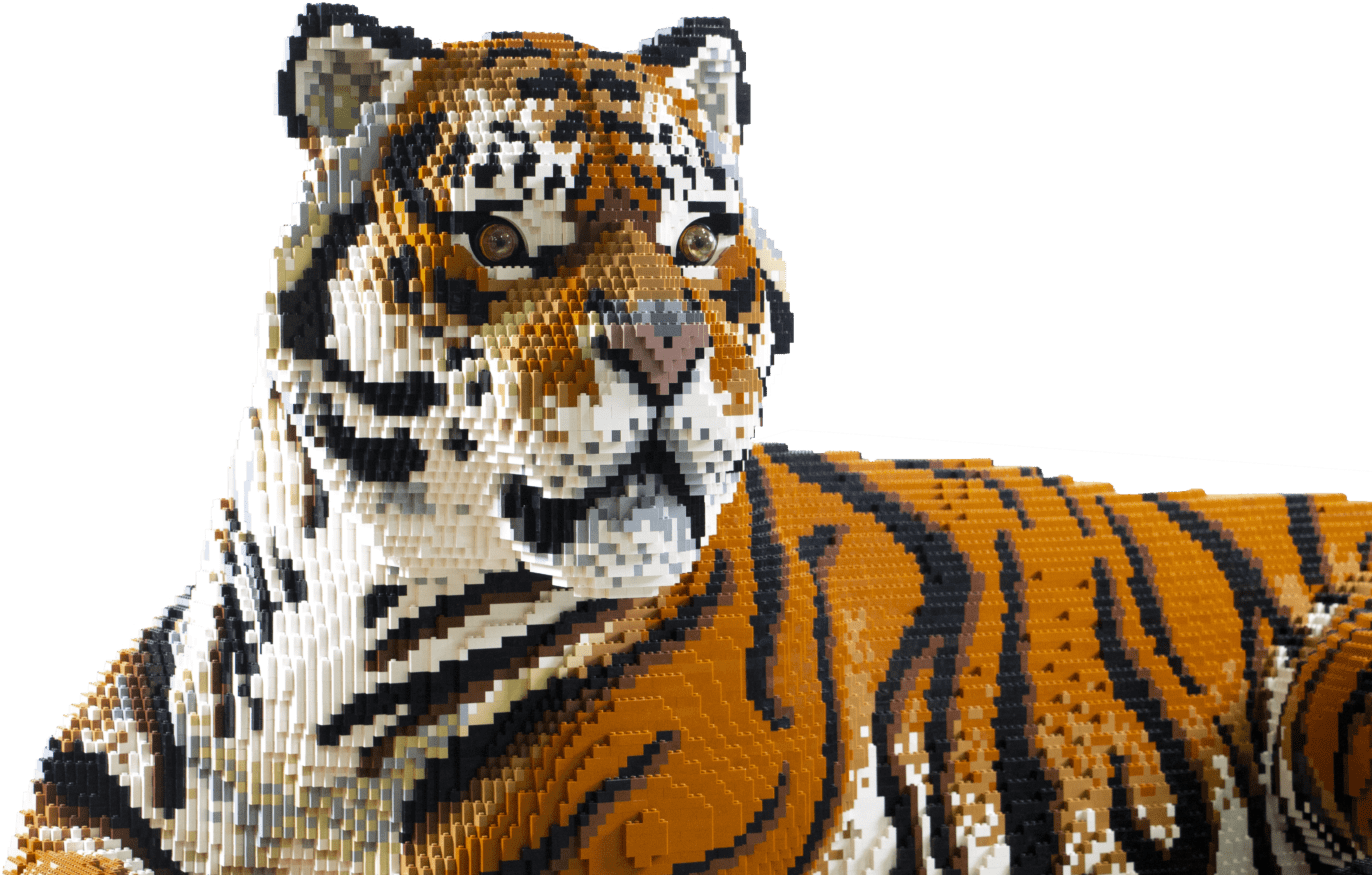 Cheetah & Antelope Snow Leopard Clouded Leopard African - Siberian Tiger (1400x933), Png Download