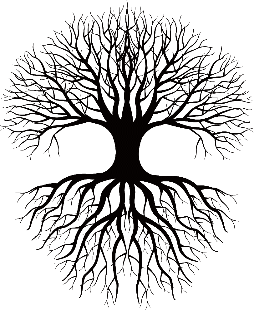 Roots Clipart Tree With Deep Root - Tree With Roots Black And White Clipart (949x1000), Png Download