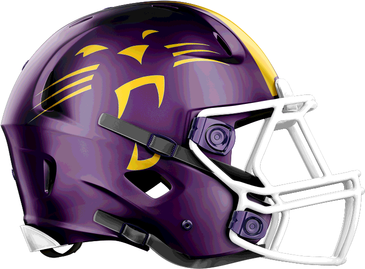 Peninsula Panthers Panthers - Face Mask (760x760), Png Download